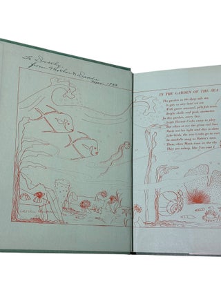 The Amazing Adventures of Kermit, the Hermit Crab