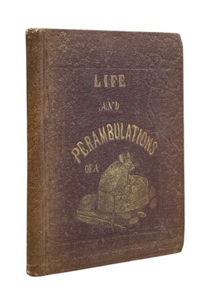 Life and Perambulations of a Mouse
