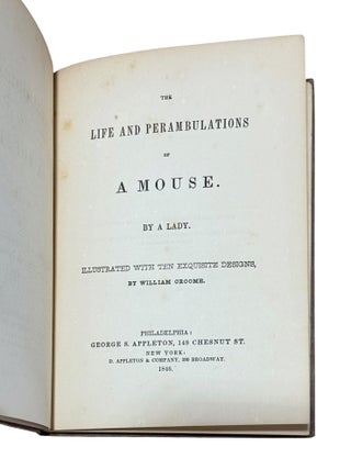 Life and Perambulations of a Mouse