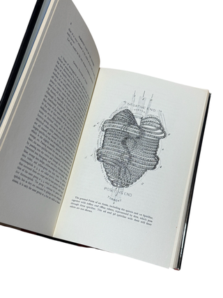 The Principles of Light and Color: The Classic Study of the Healing Power of Color
