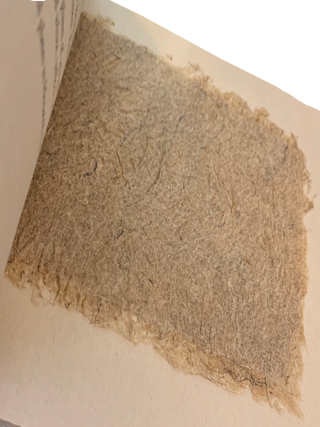 From Fiber to Paper