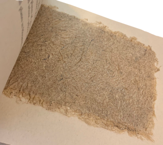From Fiber to Paper