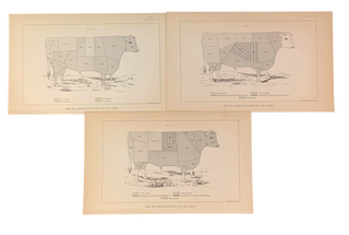 Set of 75 plates from House Document No 51: Cattle and Dairy Farming