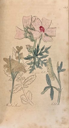 The British Herbal and Family Physician to which is added a Dispensatory for the use of Private Families